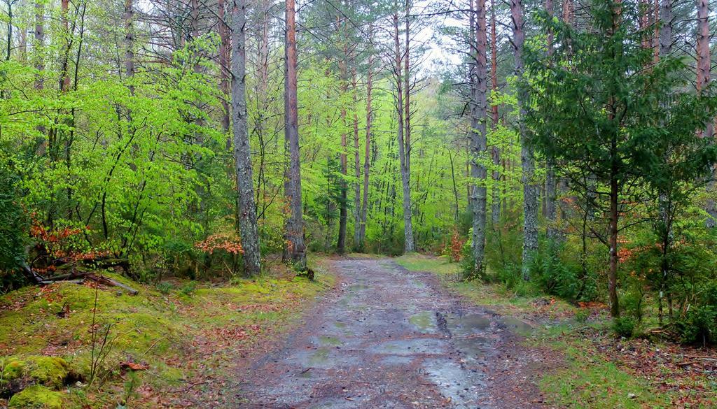 Tetxe B&B Roncal Exteriör bild